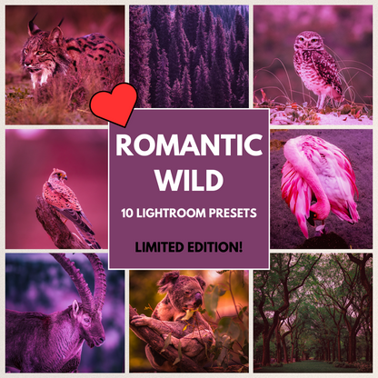 Romantic Wild - LIMITED EDITION