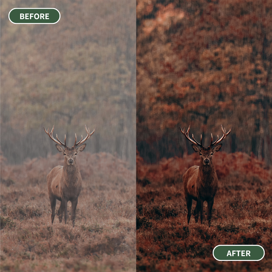 Autumnal Rust - 15 Lightroom Presets Pack