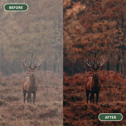 Autumnal Rust - 15 Lightroom Presets Pack