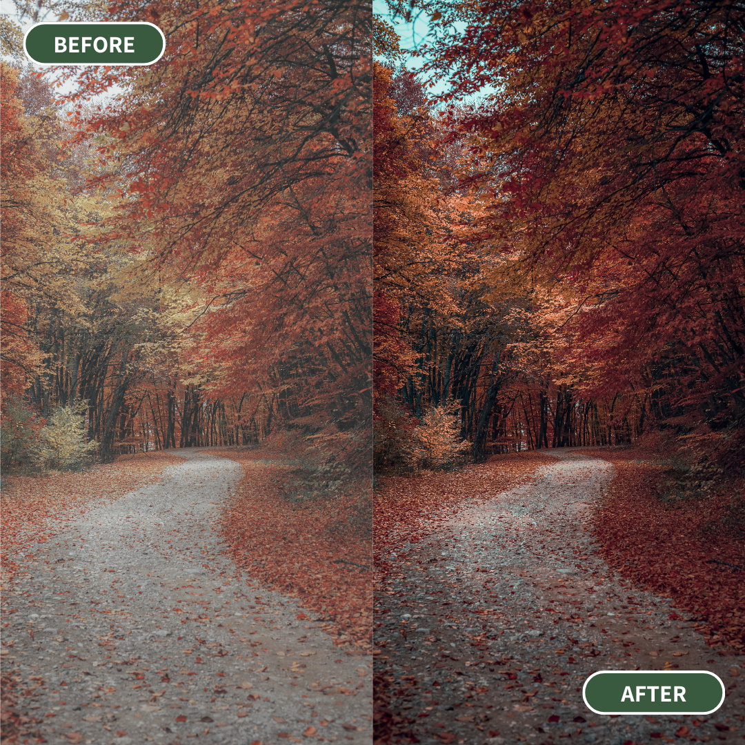 Autumnal Rust - 15 Lightroom Presets Pack