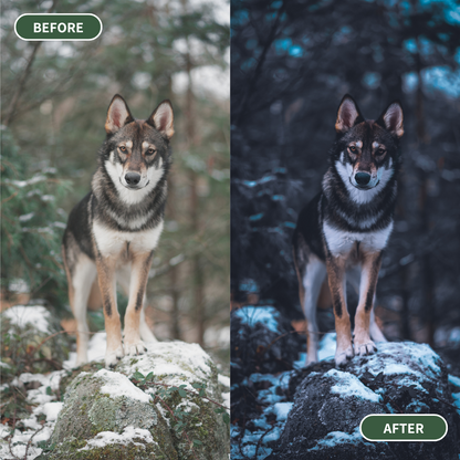 Blue Ice Lightroom Presets Pack